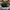 Nike Air Jordan Casual Hat Pria black photo 4