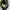The North Face Gorpcore Fleece Pria green black photo 3