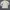 Calvin Klein Casual Sweatshirt Pria tan photo 2