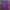 Montbell Casual Track jacket Pria purple photo 2