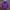 Montbell Casual Track jacket Pria purple photo 6
