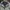 The North Face Casual Track jacket Pria white photo 2