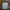 The North Face Casual Track jacket Pria white photo 1