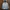 The North Face Casual Track Jacket Pria White