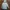 The North Face Casual Track jacket Pria white photo 5