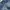 Guess Vintage Wanita navy gray photo 4