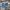 Adidas Sportswear Bomber jacket Wanita cream blue photo 4