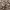 Guess Casual Sunglass Pria brown photo 2