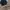 Ray Ban Casual Sunglass Pria Silver
