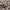 Ray Ban Casual Sunglass Pria Black