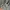 Le Coq Sportif Streetwear Sportswear Track jacket Pria gray photo 6