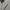 Le Coq Sportif Streetwear Sportswear Track jacket Pria gray photo 8
