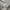 Le Coq Sportif Streetwear Sportswear Track jacket Pria gray photo 7