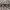 Levi's Casual Sunglass Pria Black