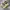 Puma Streetwear Sneakers Wanita khaki photo 1