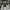 Montbell Gorpcore Windbreaker Pria black photo 4