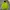GAP Gorpcore Puffer jacket Pria green photo 1