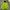 GAP Gorpcore Puffer Jacket Pria Green