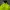 GAP Gorpcore Puffer jacket Pria green photo 2