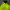 GAP Gorpcore Puffer Jacket Pria Green