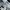 Hollister Casual Casual pants Pria white gray photo 5