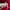 Hollister Casual Casual pants Pria red photo 5