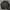 Adidas Casual Bomber jacket Pria navy photo 5