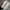Adidas Y2K Sneakers Pria blue photo 3
