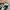 Adidas Y2K Sneakers Pria blue photo 6