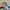 Adidas Y2K Sneakers Pria blue photo 5