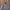 Coquette Casual Hoody Pria gray photo 2