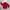 Champion Vintage Sweater Pria red photo 7