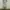 Earth, Music & Ecology Casual Casual dress Wanita white tan photo 1