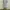 Earth, Music & Ecology Casual Casual Dress Wanita White Tan