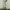 Earth, Music & Ecology Casual Casual dress Wanita white tan photo 2