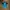Umbro Sportswear Jersey Pria blue photo 2