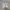 Nike Streetwear Sportswear Sneakers Pria white photo 2