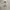 Vintage Sweater Pria gray photo 1