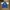 Umbro Sportswear Jersey Pria blue photo 2