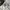 New Balance Streetwear Sneakers Pria White
