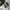 New Balance Streetwear Sneakers Pria white photo 3