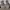 Nike Streetwear Casual Sneakers Wanita white photo 6
