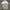 Adidas Casual T-shirt Pria white gray photo 1