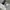 Adidas Casual T-shirt Pria white gray photo 4