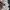 Japanese brand Lolita Fairy Babydoll dress Wanita multicolor photo 6