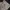 Japanese brand Lolita Fairy Babydoll dress Wanita multicolor photo 4