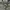 Needles Streetwear Casual pants Pria green photo 5