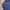 Nike Vintage Windbreaker Pria navy photo 3