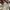 Angel Blue Vintage Y2K Bralette Wanita white blue photo 6