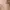 Off-White Casual T-shirt Pria Tan